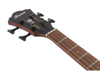 Ibanez AEGB24E-MHS Ibanez AEGB24E-MHS